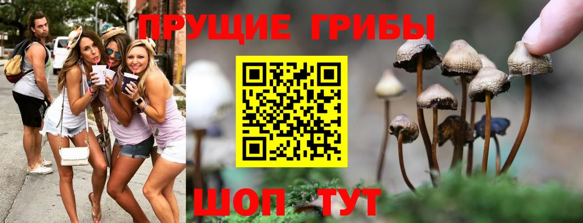 Псилоцибиновые грибы GOLDEN TEACHER  Галлюциногенные грибы Cubensis  Вход с VPN  Юрга 
